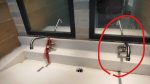 男廁洗手檯右側水龍頭滴水