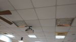會議室前面數來第4排電燈不亮